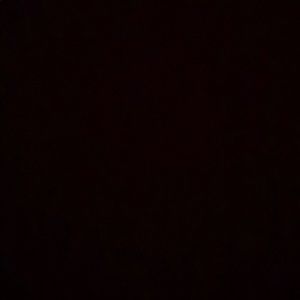 Meet your Posher, Daniella